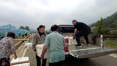  白鹤镇：擦亮“城郊经济业态+”品牌   激活乡村振兴“一池春水”