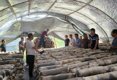 沙河乡：情牵民众办实事 履职尽责暖民心