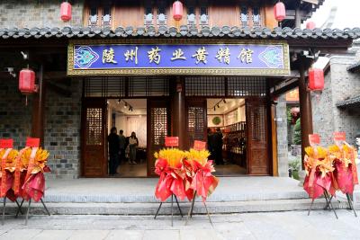 房县首家“黄精馆”在西关印象开业