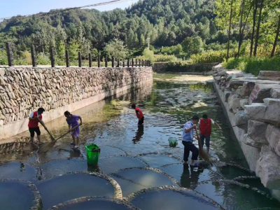 窑淮镇：网格助力河道整治 维护绿色生态环境