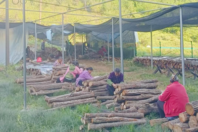 房县沙河乡卢家坪村：发展特色产业 助力乡村振兴