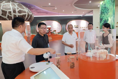 房县考察团赴襄阳、随县考察食用菌产业发展情况