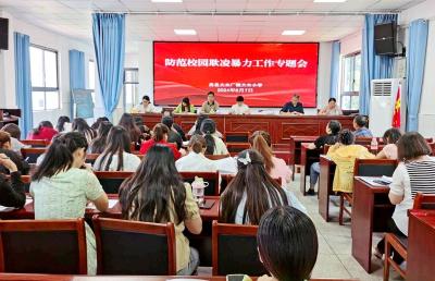 大木厂镇大木小学：防范校园欺凌霸凌 助力平安校园建设