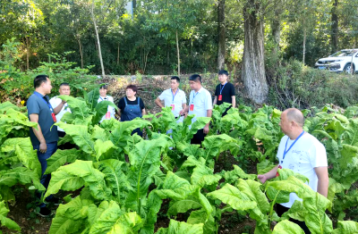 回龙乡人大：推动产业绿色转型 共筑乡村繁荣新篇章