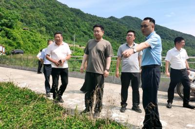 谢晓鸣到白鹤镇调研防汛备汛、产业发展、共同缔造等工作