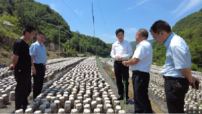 柯尊勇来房调研乡村振兴驻村工作