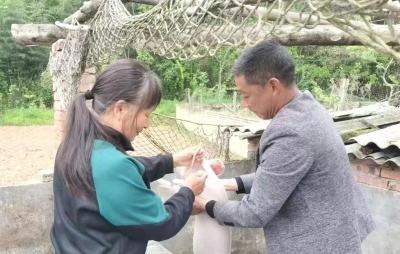 房县110名村级防疫员扎根乡野、服务基层