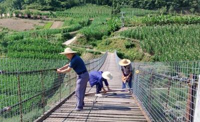 九道乡响应沟村：为民办实事 维修便民桥