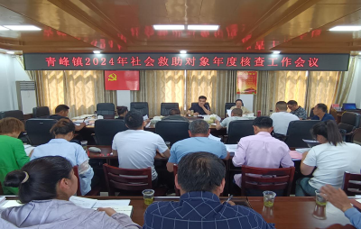 青峰镇：启动社会救助复核工作 兜实兜牢民生底线