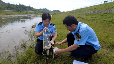 【“文明河流建设”专栏】​​市生态环境局房县分局：全面推进文明河流建设 共绘绿色发展新篇章