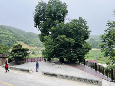 青峰镇刘家河村：青檀广场共谋建  同心缔造幸福园