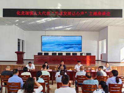 化龙堰镇：人大代表共话和美乡村新图景