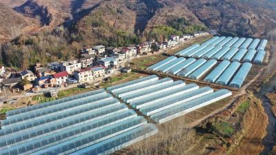 化龙堰镇上营村：沃野田畴绘新景 和美乡村入画来