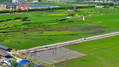 在中国式现代化建设中谱写好宁夏篇章
