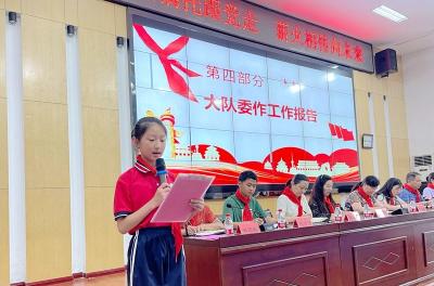 房县东城小学教联体：高举队旗跟党走 童心筑梦向未来
