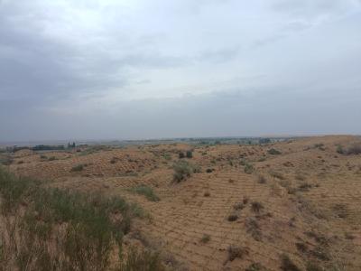 习近平总书记关切事 | 为了绿色长城万里长——“三北”工程攻坚战一线见闻