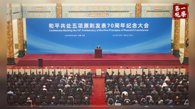 第一观察·现场 | 习近平主席赋予和平共处五项原则新的时代内涵