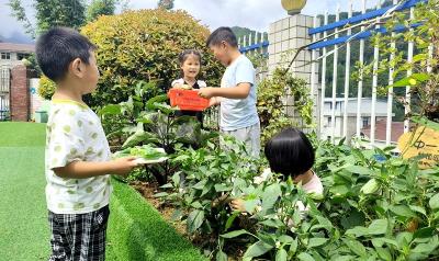 门古寺镇中心幼儿园：走进共享菜园 体验采摘之乐