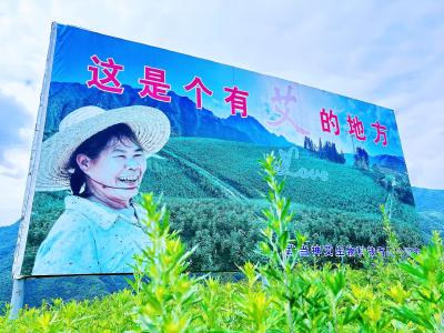 习近平复信美国肯恩大学校长雷波列特