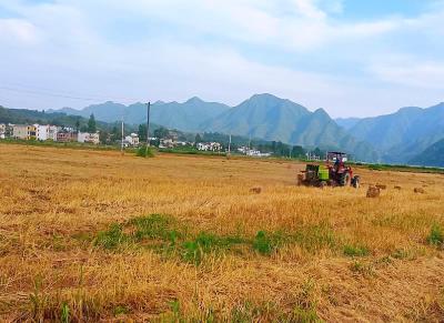 军店镇：念好“三字诀”抓好“三夏”生产工作