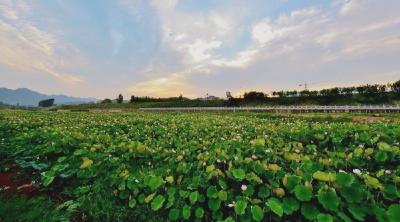 十五届县委第六轮巡察完成反馈