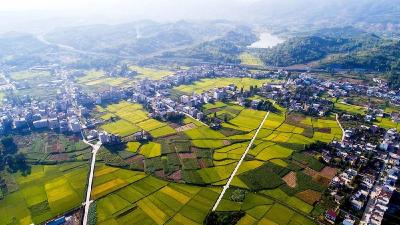 军店镇：擦亮“三色”名片  助力乡村振兴