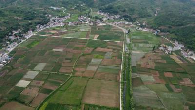 军店镇军马村：打好三张“特色牌”  助力乡村振兴