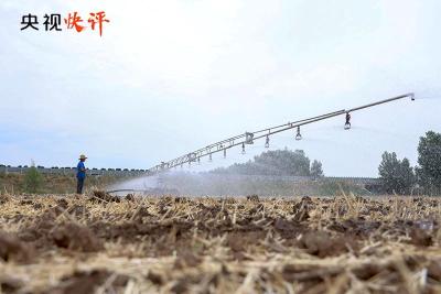 【央视快评】切实保障人民群众生命财产安全和社会大局稳定