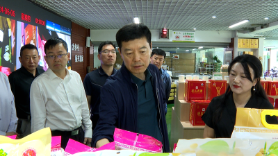 北京市通州区政府来房考察对接优质农产品进入通州