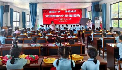 大木厂镇大木小学：“衔接”零距离 “体验”促成长