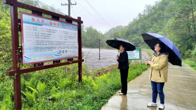 【“文明河流建设”专栏】发改局：  “五个强化”厚植绿色发展底色  加快建设绿色低碳示范县