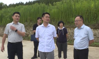 农业农村部黄涛来房调研