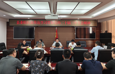 房县县委组织部召开会议传达学习党的二十届三中全会精神