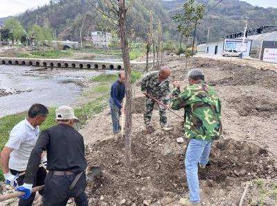 门古寺镇狮子岩村：驻村工作队携手爱心企业助力河堤绿化