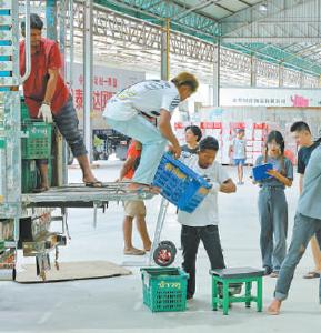 东盟国家水果高效便捷进入中国—— “巨大的中国市场为我们带来快速发展机遇”（见证·中国机遇）