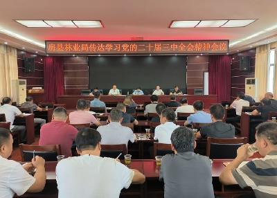 房县林业局：学习贯彻党的二十届三中全会精神