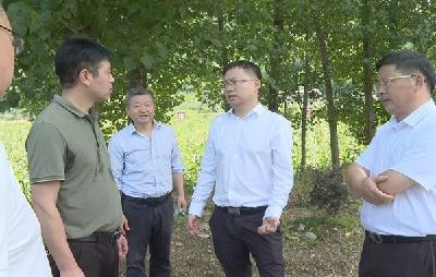 杨丹华强调：立足特色优势做强产业链条 推动绿色发展释放生态红利