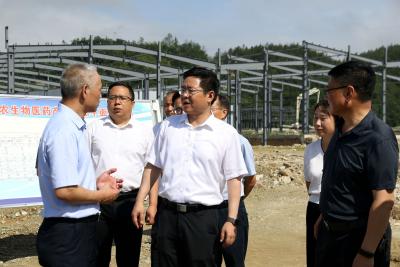 谢晓鸣调研工业企业、供应链物流及数智化病理服务体系建设