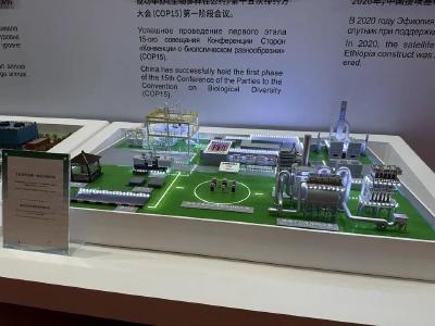 “推动上海合作组织国家实现更紧密的合作”