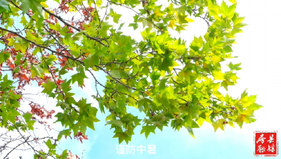 窑淮学校：“食话”实说，共促成长