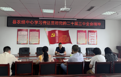 县农经中心：深入学习贯彻党的二十届三中全会精神