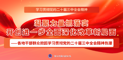 学习贯彻党的二十届三中全会精神，新华社播发系列报道