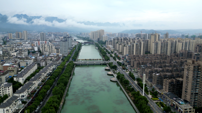 【“文明河流建设”专栏】林业局：以“林绿山美水清”守护一库碧水