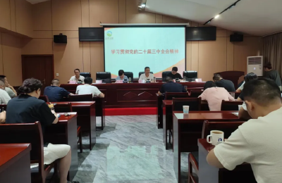 鑫茂水利集团：学习贯彻党的二十届三中全会精神