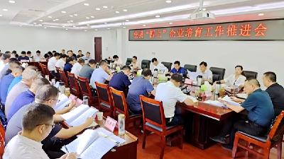 杨丹华强调：持续培育壮大“四上”企业  增强经济高质量发展新动能