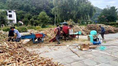 秸秆变饲料 环保又增收
