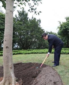 改革·印记丨12年，总书记种下的“信心树”枝繁叶茂
