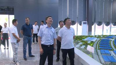 县人大常委会开展循环产业环境保护工作专题调研