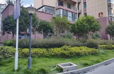 房县退役军人事务局：深度“美颜” 不留“死角”