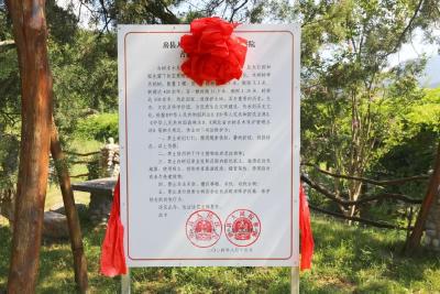 检法合力！房县为百年古树披上司法“铠甲”